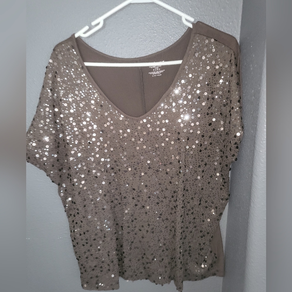 Lane Bryant Shimmery Blouse